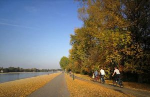 ada ciganlija u jesen