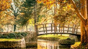 topciderski park u jesen
